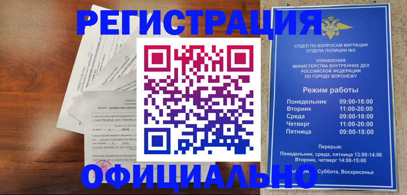 прописка поиск в Балтийске